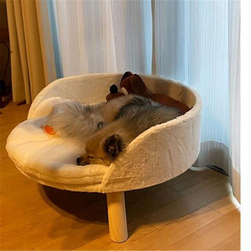 Pet sofa bed raised - bed,
