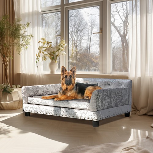 Large dog sofa couch - dog, velvet